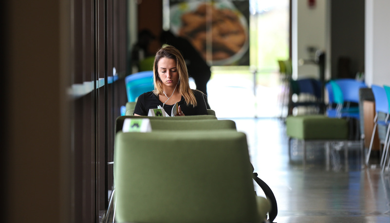 Students studying