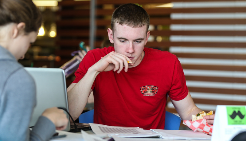 Students studying