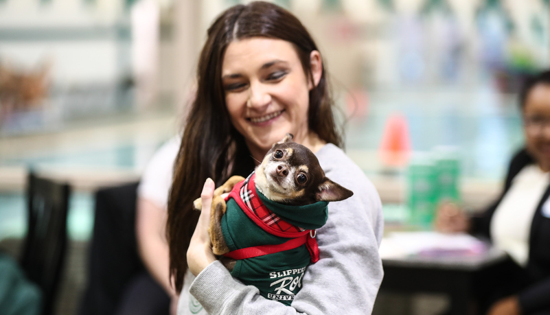 Woman holding a little dog