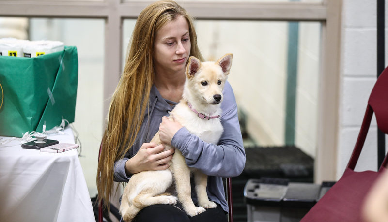 Woman holding a white dog on her lap