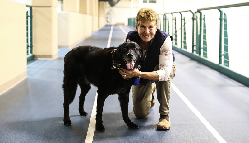 dog on the track with his owner