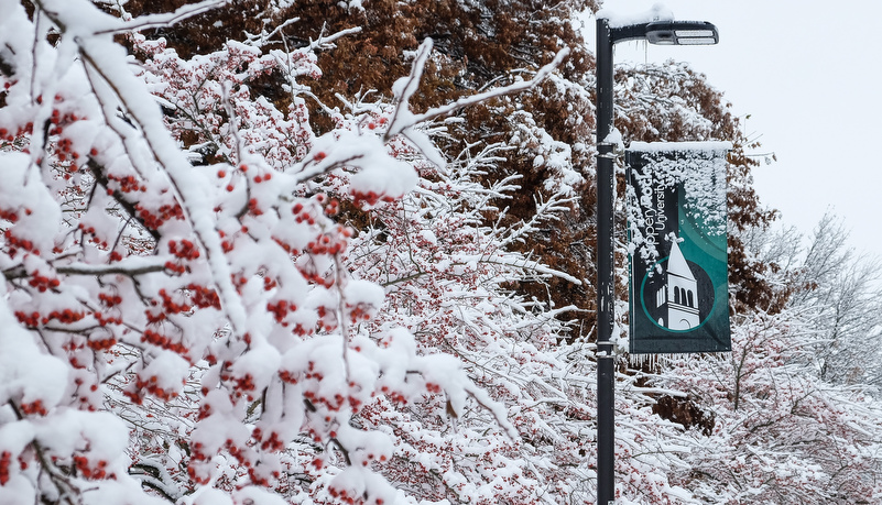 University banner among the frozen trees