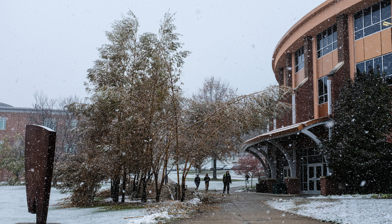 Facilities starts removing damaged trees