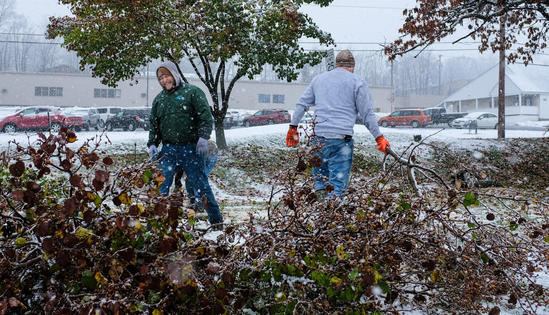 Facilities starts removing damaged trees