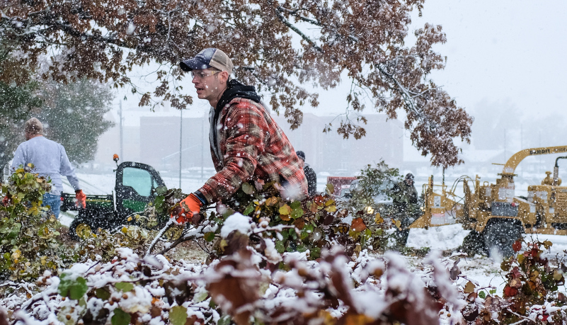 Facilities starts removing damaged trees