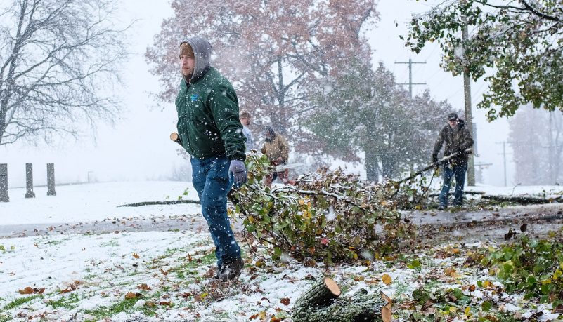 Facilities starts removing damaged trees