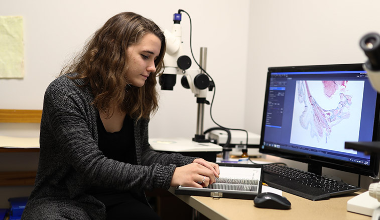 Student preparing slide for study