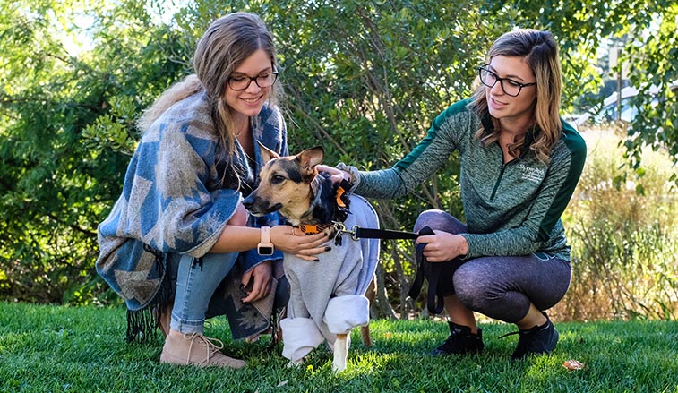 Two female students with a dog