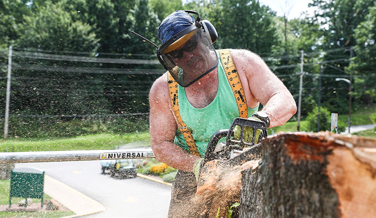 Chainsaw carving