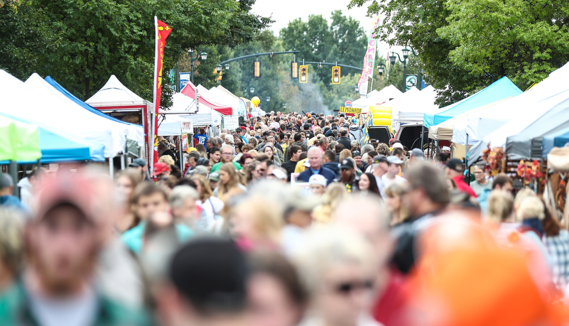 Villagefest crowd