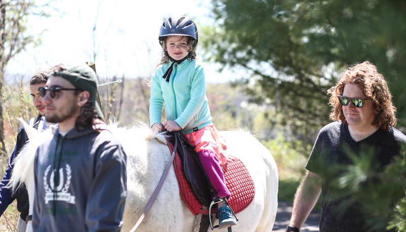 girl riding a horse