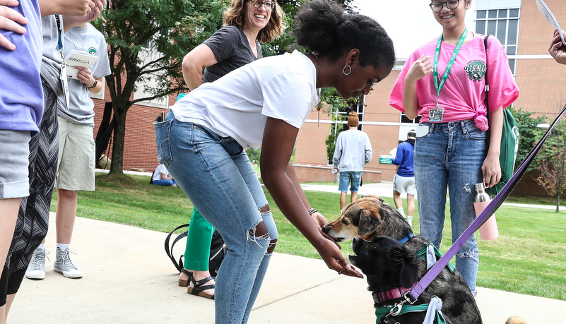 Students feeding Oscar and Sadie