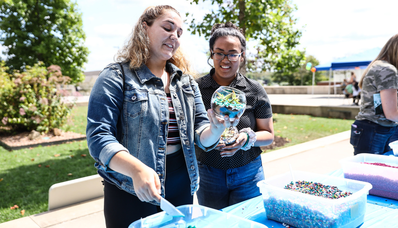 Students potting a succulent