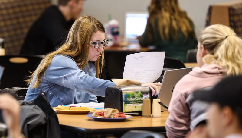 Students studying for finals