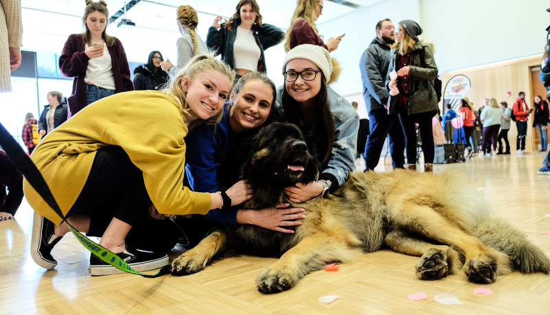 Students with a dog