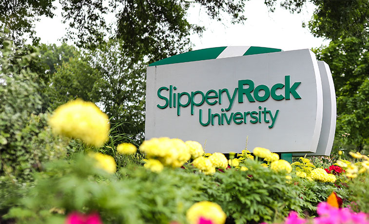 Main street sign and flowers