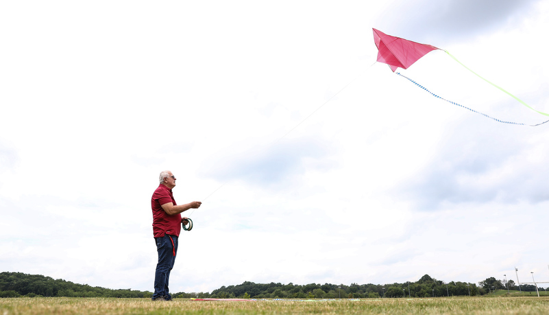 Kite in flight