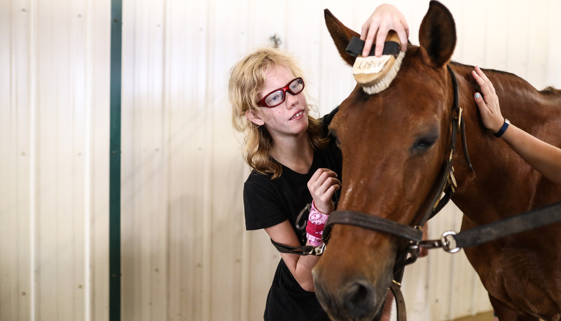 Camper brushing a horse