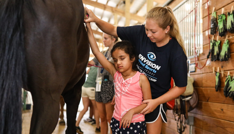 Camper brushing a horse