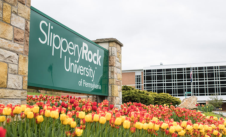 Flowers in bloom in front of the university sign