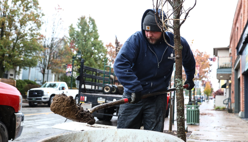 worker digging a hole for a new tree