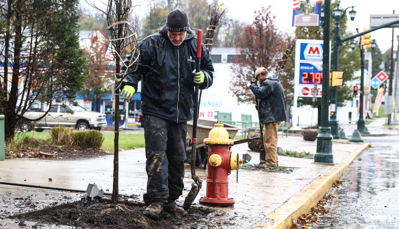 worker digging a hole for a new tree