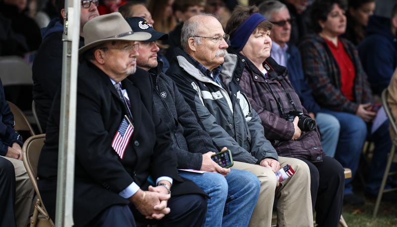 Veterans day celebration