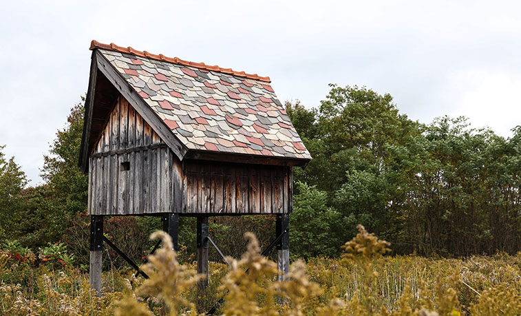 Bat House on campus