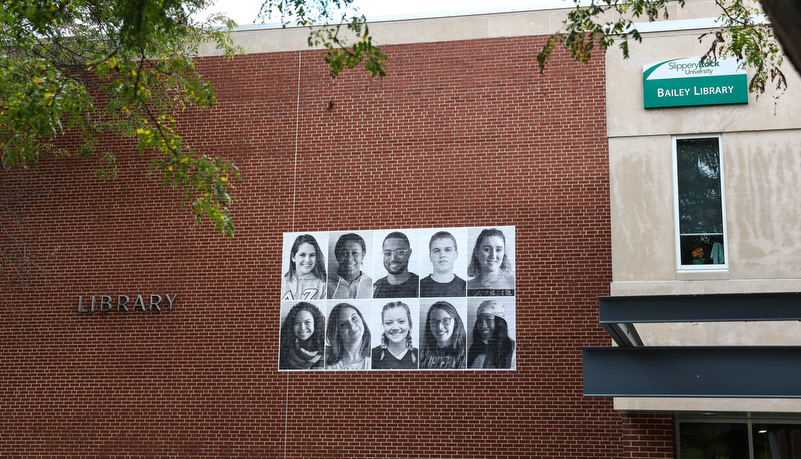 Art on the buildings