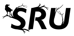 SRU "The Raven" stencil