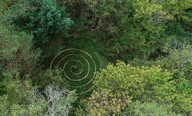 Ecotherapy garden from above