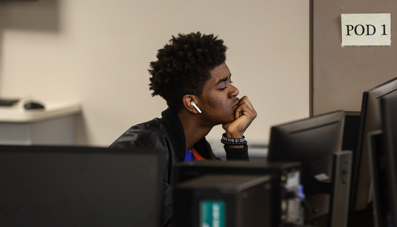 Student studying in the library