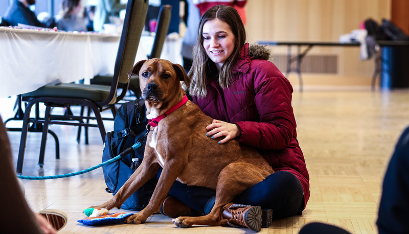 Student with a therapy dog