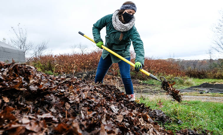 Worker turning leaves