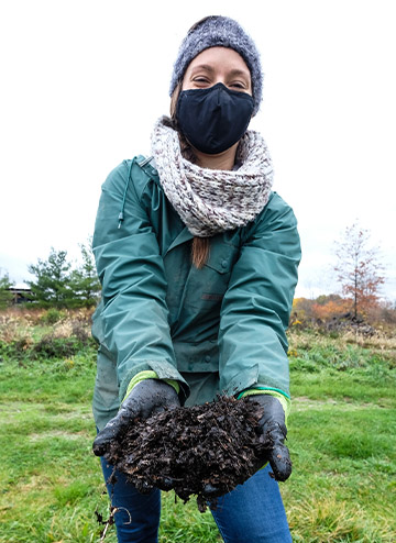 Leaf compost