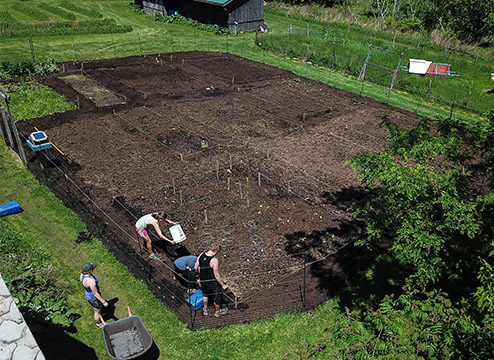 Macosky Center Community garden