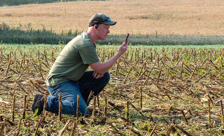 Farmer in his field on a virtual class