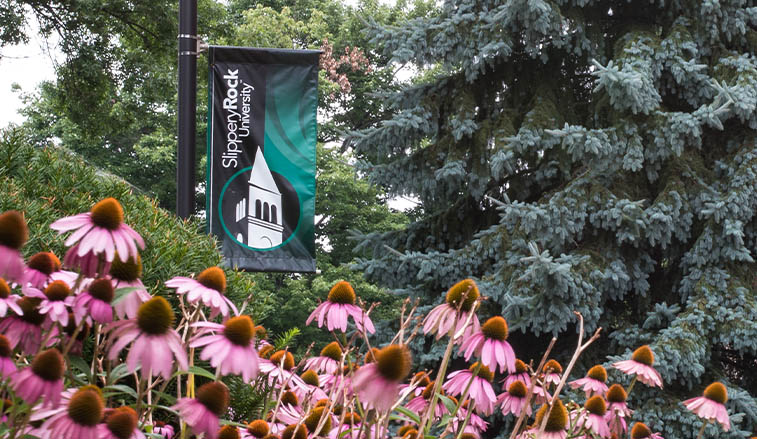 University banner and flowers