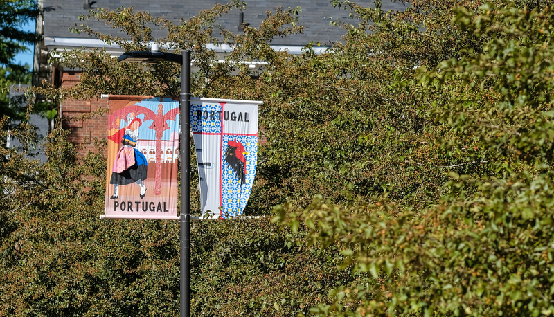 Portugal Dancer and Chicken Banner