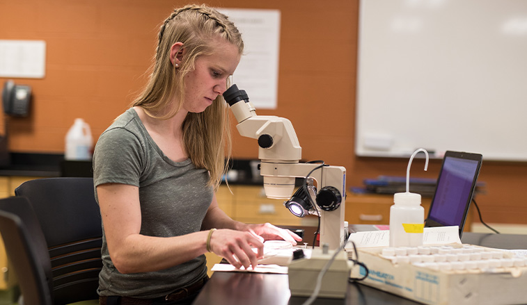 Student doing research