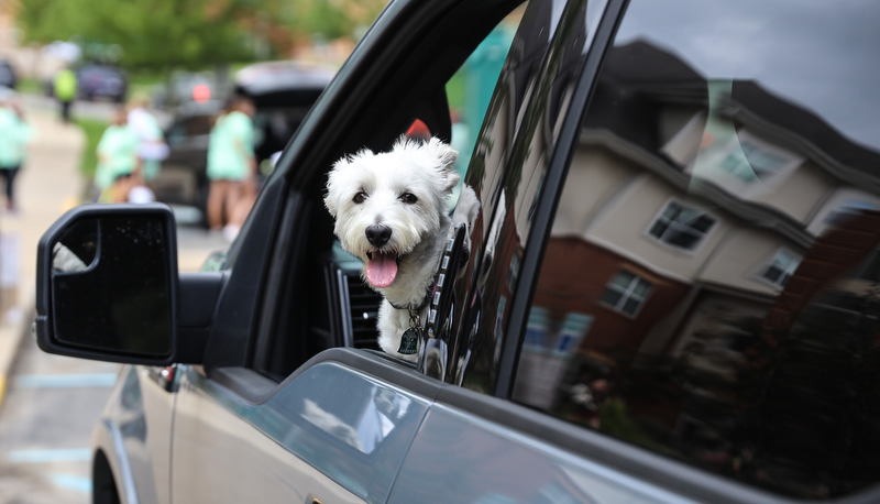 Move-in day