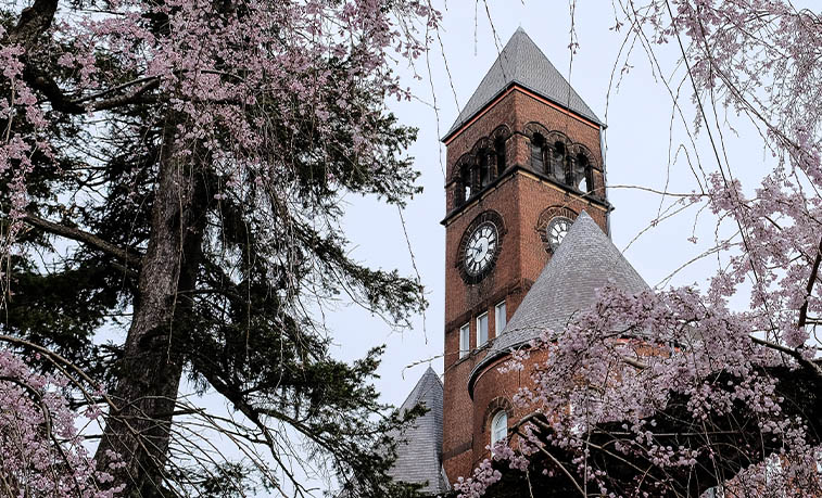 Old Main in the spring