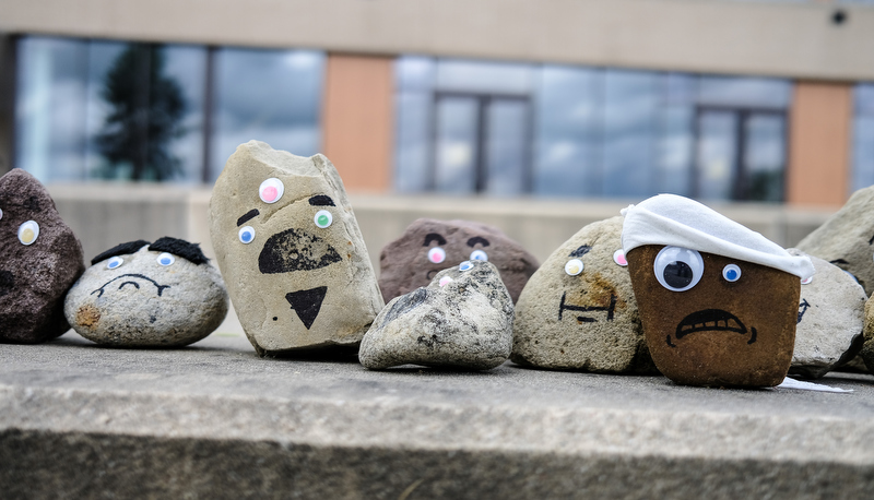 Pet Rocks on display