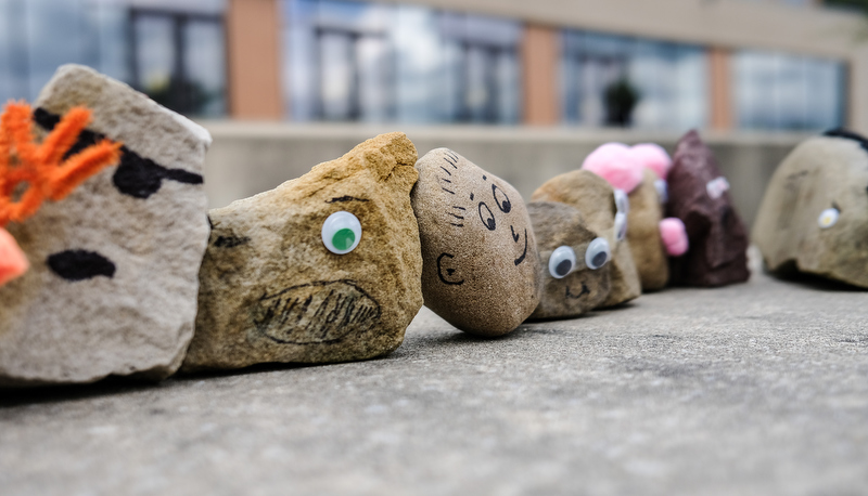 Pet Rocks on display