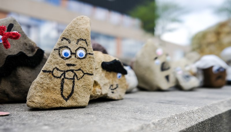 Pet Rocks on display