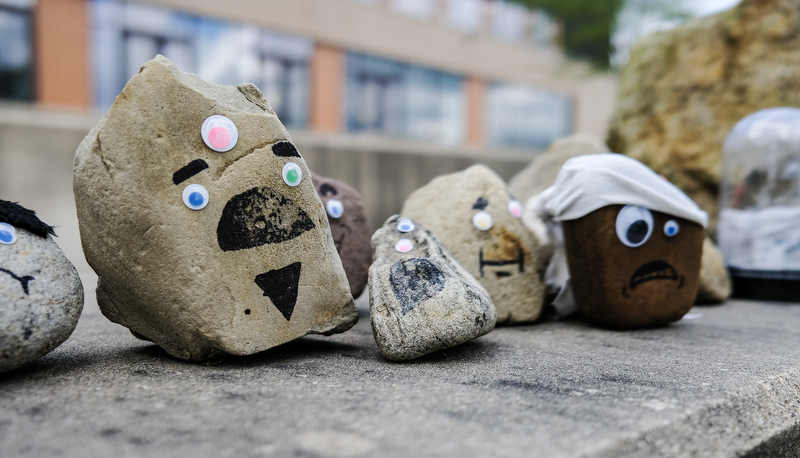 Pet Rocks on display