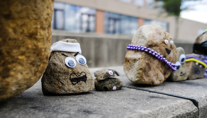 Pet Rocks on display