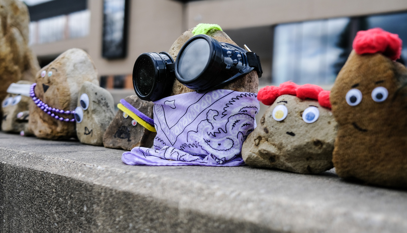 Pet Rocks on display