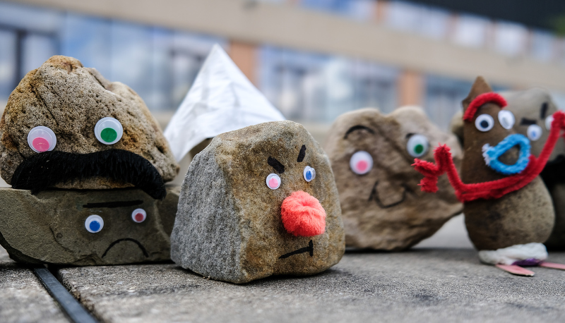 Pet Rocks on display