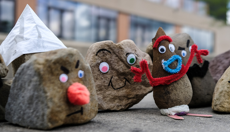 Pet Rocks on display